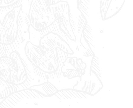 background-top-left-1 Author left drawn food background image